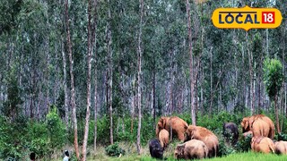 প্রতিকী ছবি।