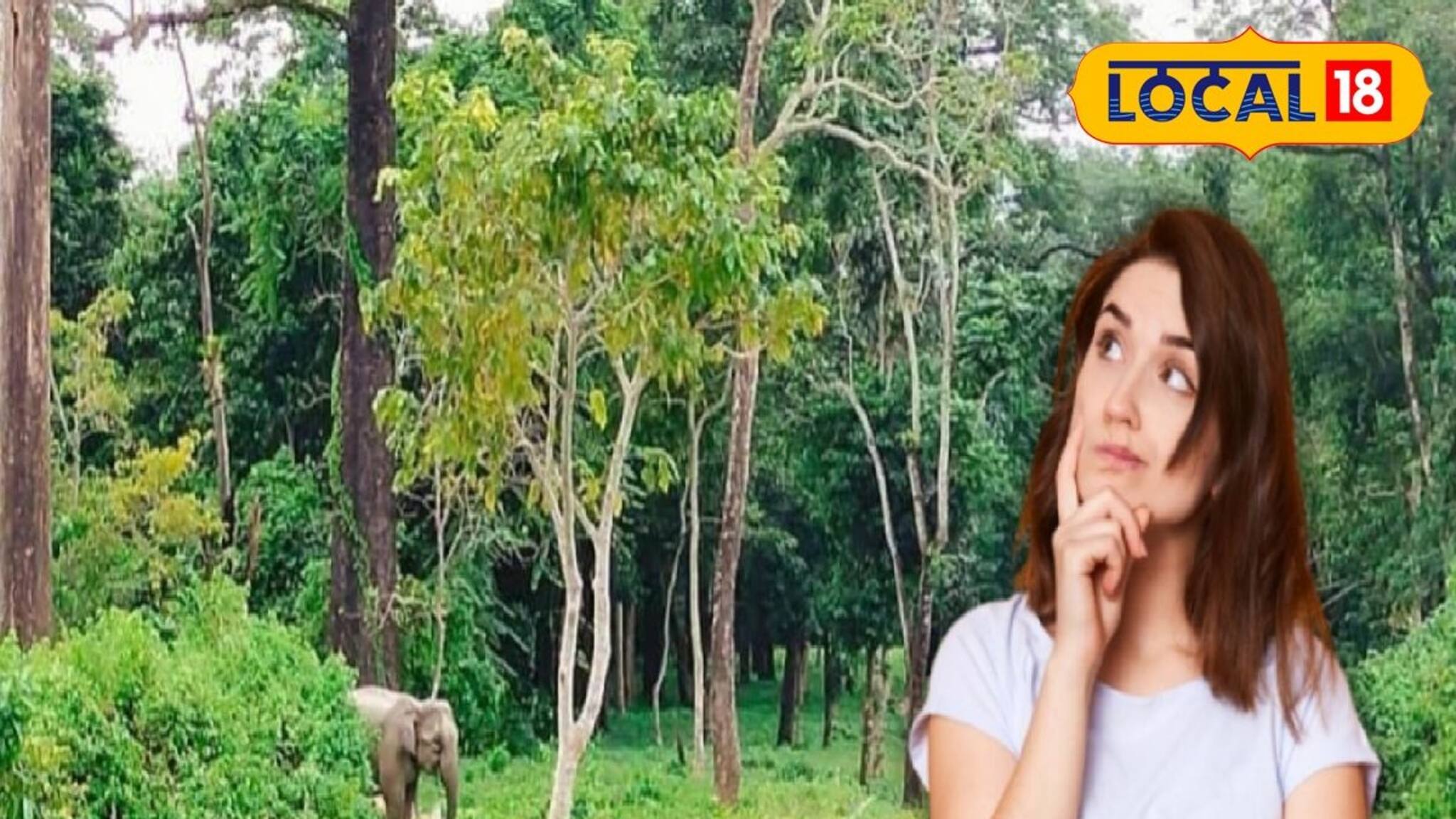 জঙ্গল খুললেই ডুয়ার্স ঘুরতে যাওয়ার প্ল্যান! জানেন চালু হচ্ছে নতুন নিয়ম, জানুন