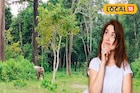 জঙ্গল খুললেই ডুয়ার্স ঘুরতে যাওয়ার প্ল্যান! জানেন চালু হচ্ছে নতুন নিয়ম, জানুন