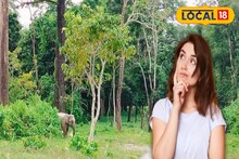 জঙ্গল খুললেই ডুয়ার্স ঘুরতে যাওয়ার প্ল্যান! জানেন চালু হচ্ছে নতুন নিয়ম, জানুন