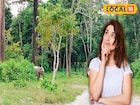 জঙ্গল খুললেই ডুয়ার্স ঘুরতে যাওয়ার প্ল্যান! জানেন চালু হচ্ছে নতুন নিয়ম, জানুন
