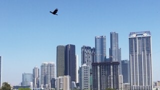 কোন বিল্ডিং জানেন!