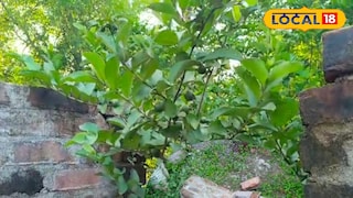 ভেঙে পড়েছে দেওয়াল। ভেঙে পড়েছে দেওয়াল।