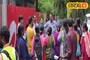 পুজোর আগে চিন্তা বাড়াচ্ছে ডেঙ্গি? নতুন করে আক্রান্তের সংখ্যা বাড়তেই যা জানালেন আধিকারিক