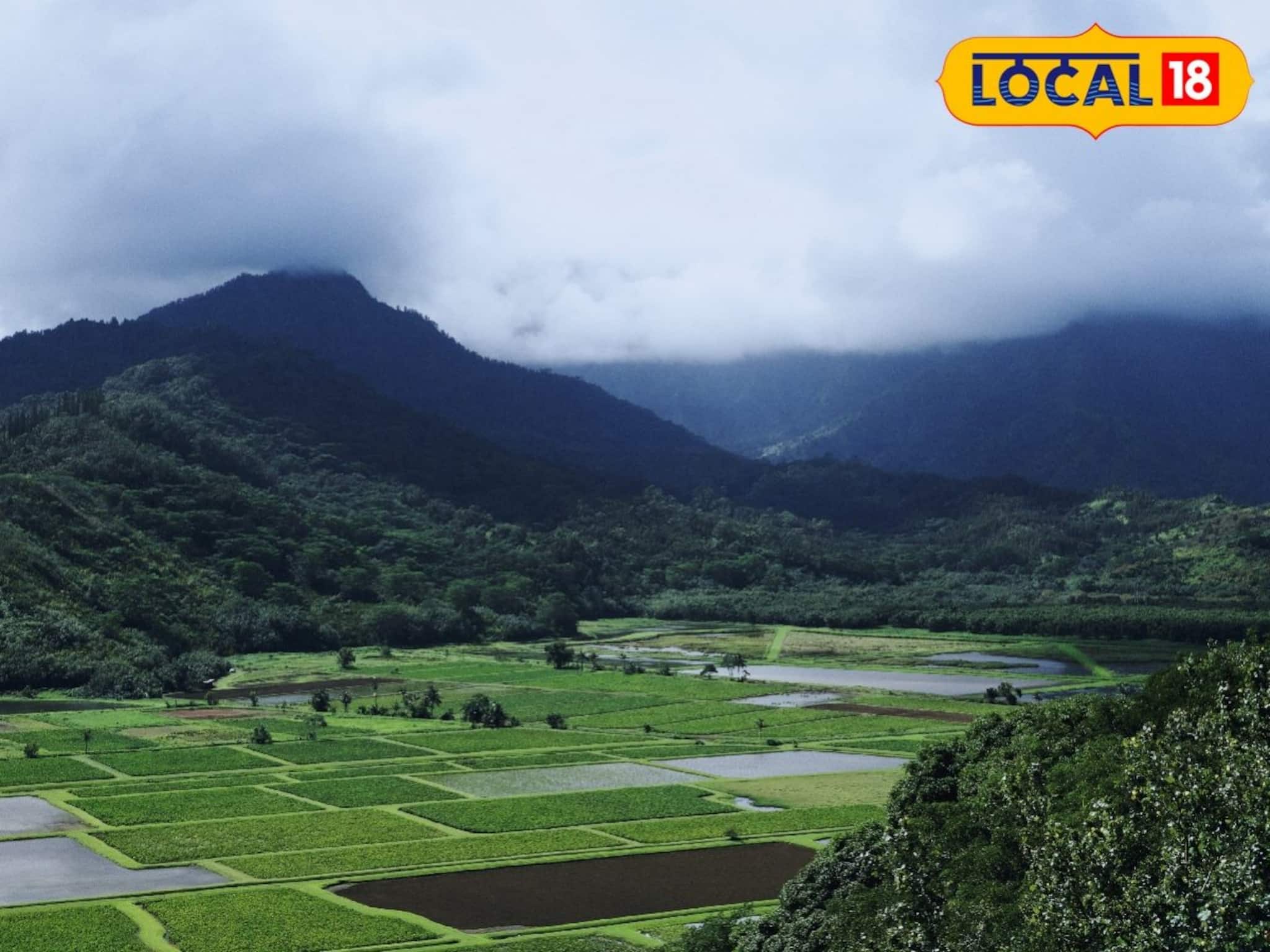 North Bengal Weather Forecast: ফের নিম্নচাপের ভ্রুকুটি, বৃষ্টি কাঁপাবে দক্ষিণবঙ্গ, কী হতে চলেছে উত্তরবঙ্গে? জানুন আবহাওয়ার মেগা আপডেট