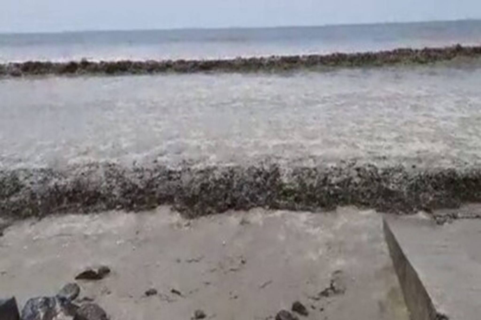 হঠাৎ কালো হয়ে গেল দিঘার সমুদ্রের জল! সে কী! কেন হল জানেন? প্রবল আতঙ্ক চারিদিকে