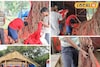 খরচের চিন্তা নেই, পড়ুয়ারা সাজাচ্ছে থিমের মণ্ডপ, দর্শকরা অবাক! কোথায় দেখতে পাবেন?