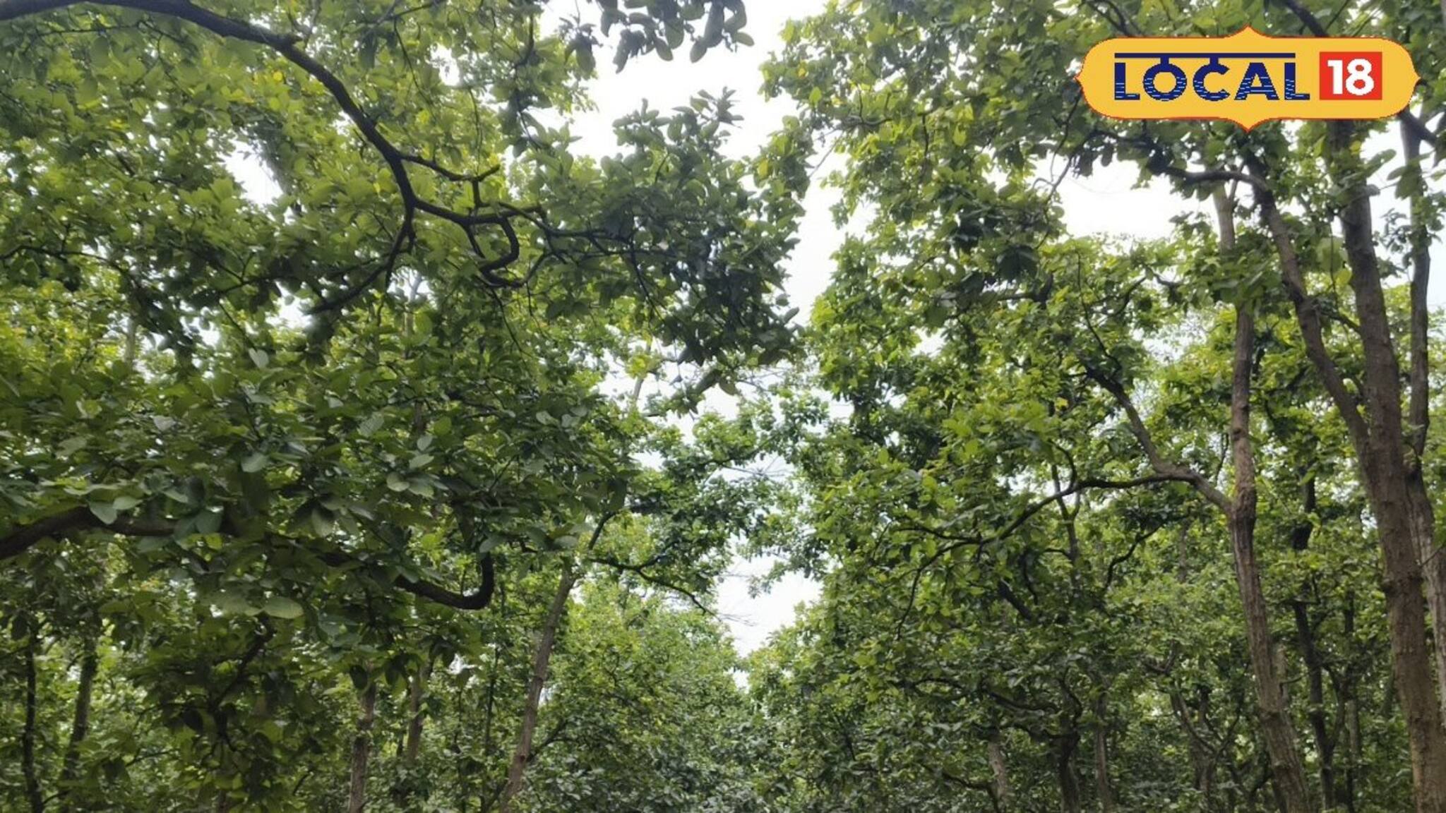 হারানো প্রিয়জনের স্মৃতিতে এমন কাজ! চমক গোটা এলাকায়