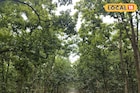 হারানো প্রিয়জনের স্মৃতিতে এমন কাজ! চমক গোটা এলাকায়