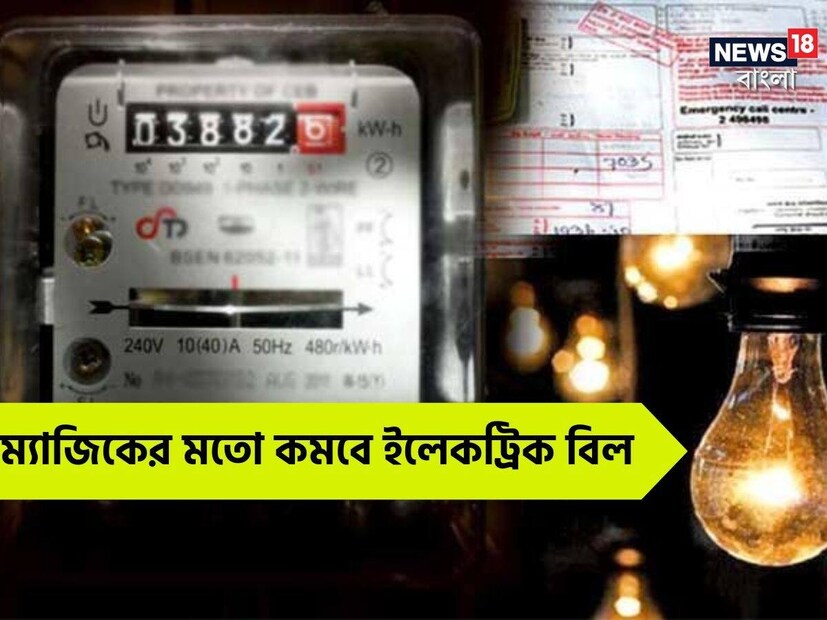 রেফ্রিজারেটর বাড়ির একটি গুরুত্বপূর্ণ যন্ত্র, আবার বাড়ির ইলেকট্রিক বিল বাড়াতেও এই একটি গ্যাজেটের জুড়ি নেই কোনও। বিদ্যুতের একটি বড় গ্রাহক ফ্রিজ। ভারতে প্রতিটি বাড়িতে বিদ্যুতের বিলের প্রায় ১৫ শতাংশ আসে রেফ্রিজারেটর থেকেই। 