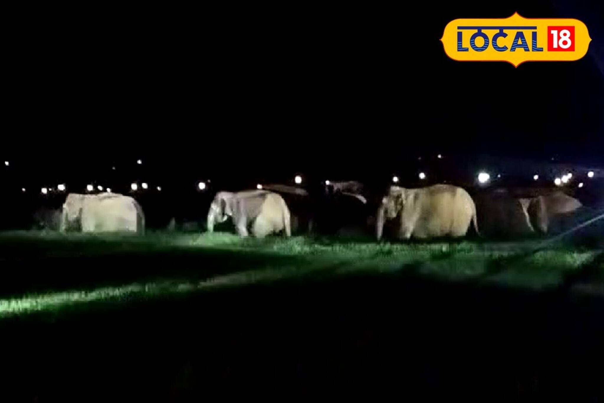 Elephant Attack: ৩০ হাতি একসঙ্গে ঢুকে পড়ল লোকালয়ে! 'ছেড়ে দে মা কেঁদে বাঁচি' অবস্থা বাসিন্দাদের, কোথায় জানুন