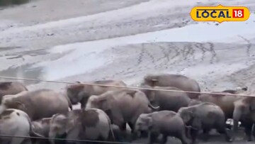 বীরপাড়ায়