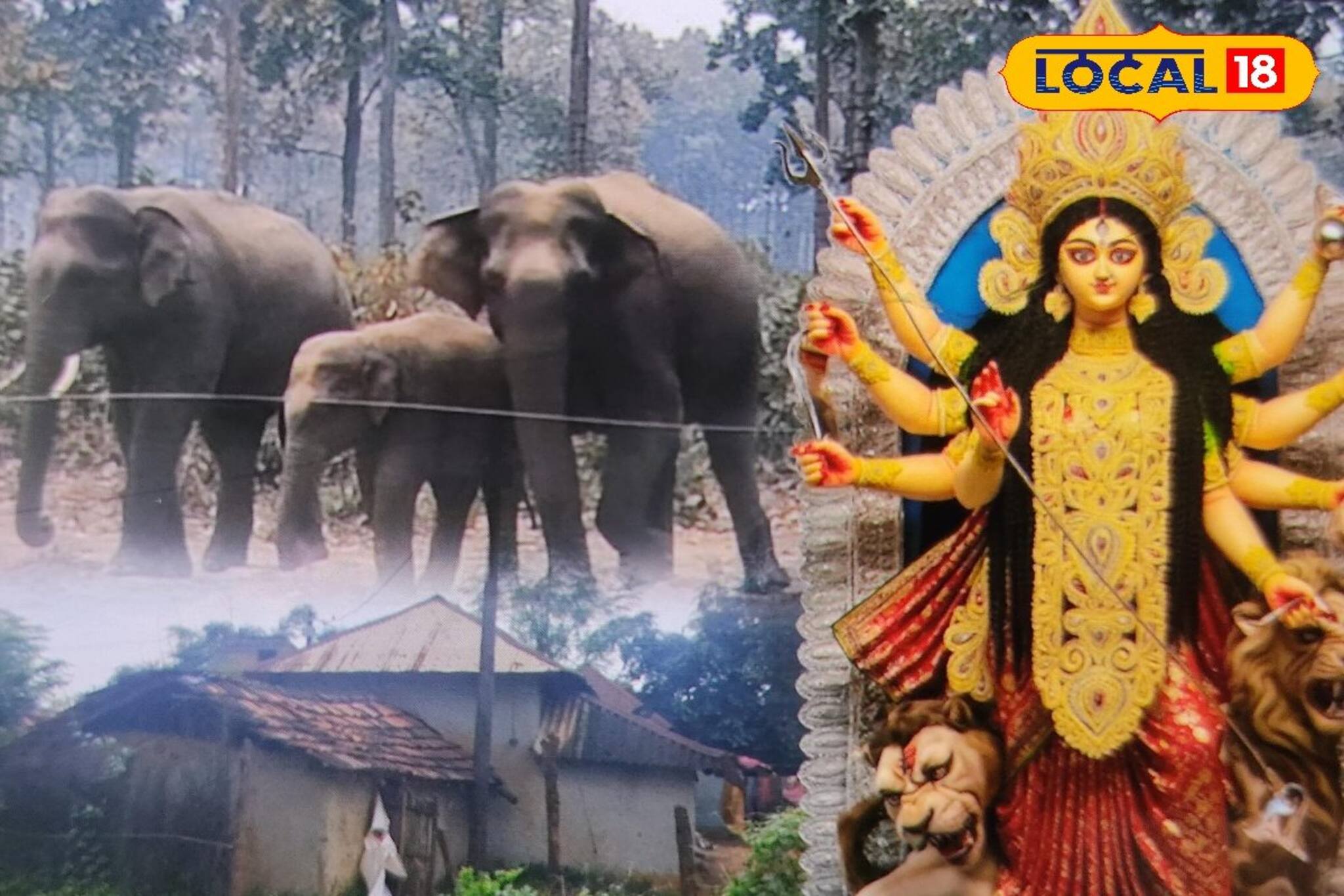 রাতে ঘুম নেই! পুজোর মরশুমে গ্রামবাসীর দুঃস্বপ্ন হয়ে উঠছে হাতির দল