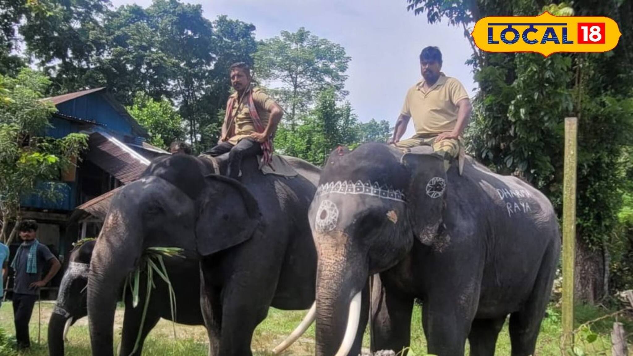 বিশ্বকর্মা পুজোয় অন্য উৎসব! কুনকি হাতিদের ঘিরে আনন্দে ভাসল জলদাপাড়া
