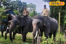 শতবর্ষের ঐতিহ্য! বিশ্বকর্মা পুজোয় হাতিদের মহাসুখ, যন্ত্রের দেবতার সঙ্গে তাঁর বাহনেরও পুজো