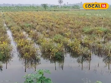 জলে