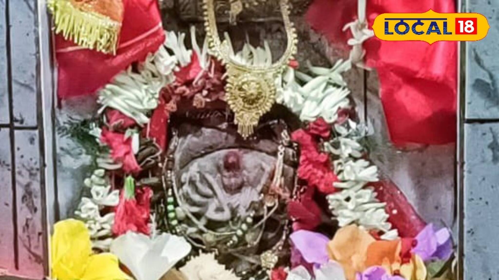 গড় জঙ্গলের এই পুজোর সামনে এখনও ফিকে হয়ে যায় আলো ঝলমলে বহু মণ্ডপ