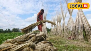 প্রতিকী ছবি।