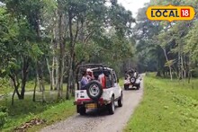 তিন মাস পর খুলে গেল গরুমারা, পাবেন আরও বেশি আনন্দ! পর্যটকদের জন্য নতুন কী কী থাকছে?