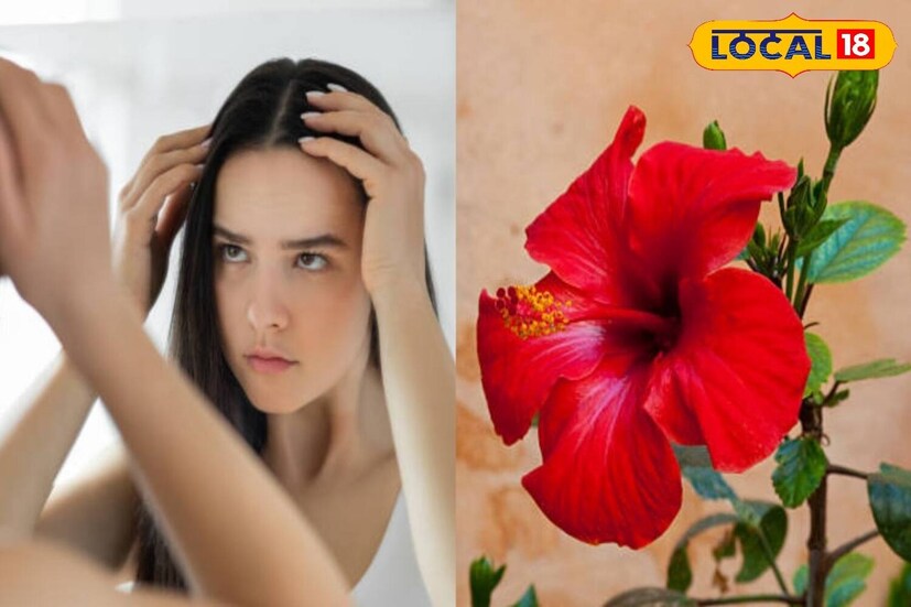 জবা এবং অ্যালোভেরা হেয়ার মাস্ক: শুষ্ক এবং জট পাকানো চুলের জন্য জবা পাতা ও ফুলের পাপড়ি বেটে এক টেবিল চামচ অ্যালোভেরা জেলের সঙ্গে মিশিয়ে চুলের গোড়া থেকে ডগা পর্যন্ত লাগাতে হবে। আধঘণ্টা রেখে ধুয়ে ফেলতে হবে।