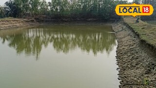 প্রতিকী ছবি। প্রতিকী ছবি।