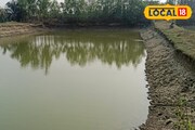 ভেড়ির দিকে তাকিয়ে চোখ কপালে উঠল! কী দেখলেন সকলে?