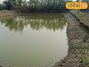 ভেড়ির দিকে তাকিয়ে চোখ কপালে উঠল! কী দেখলেন সকলে?