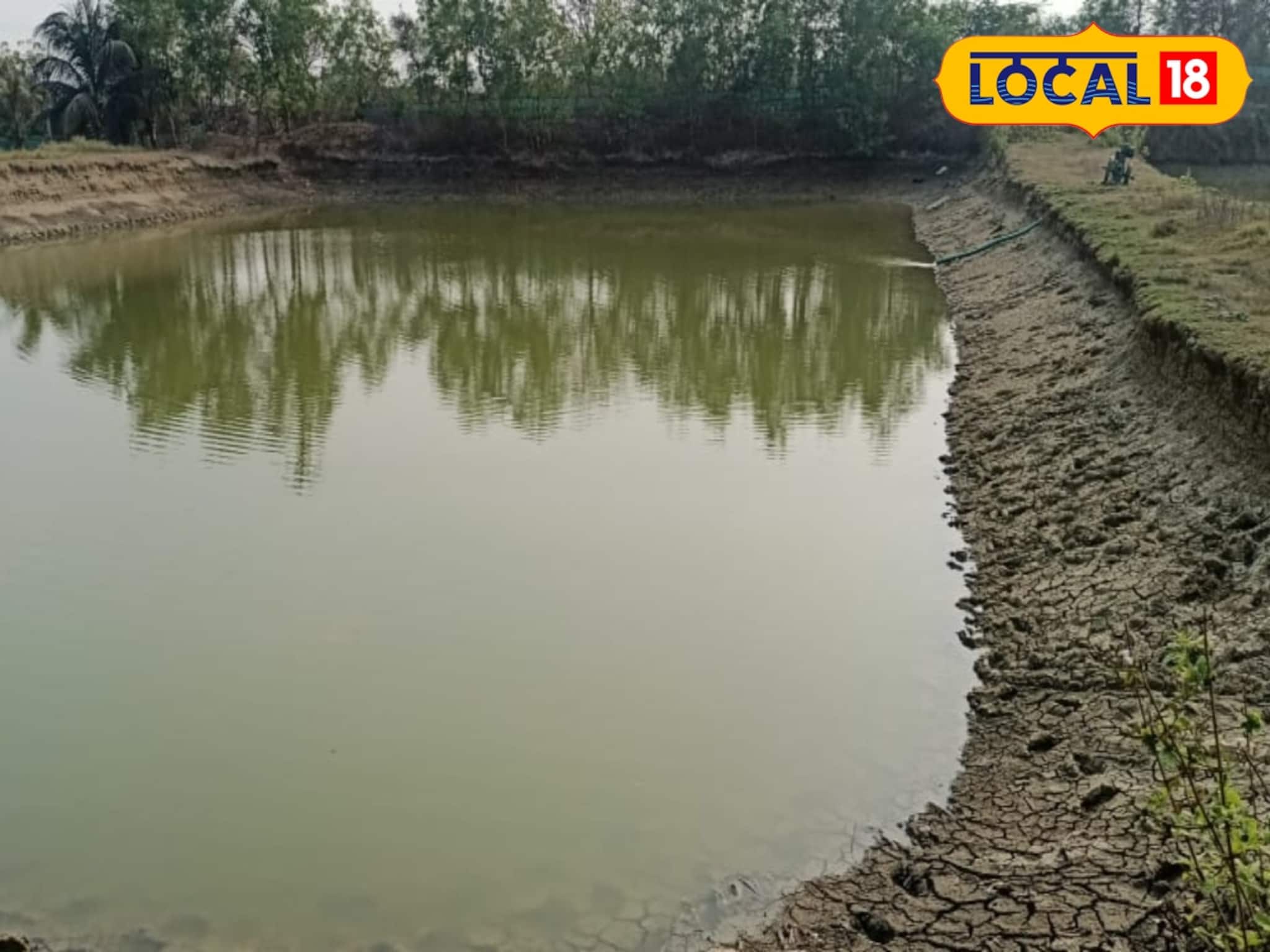 ভেড়ির দিকে তাকিয়ে চোখ কপালে উঠল! কী দেখলেন সকলে?