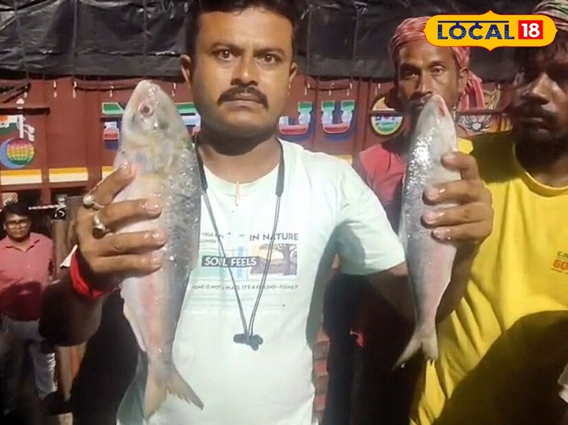 ভারত বাংলাদেশের মধ্যে সম্পর্ক তলানিতে ঠেকলেও, শারদ উৎসবের আগেই বঙ্গে এল পদ্মার ইলিশ। ভারত বাংলাদেশ পেট্রাপোল সীমান্ত দিয়ে আটটি ট্রাকে প্রায় ৩৮ মেট্রিক টন পদ্মার রুপালি শস্য পৌঁছাল ভারতে। পশ্চিমবঙ্গে এবছর প্রায় ১২০০ মেট্রিক টন পদ্মার ইলিশ পাঠানোর অনুমতি দিয়েছে বাংলাদেশের বাণিজ্য মন্ত্রক। 