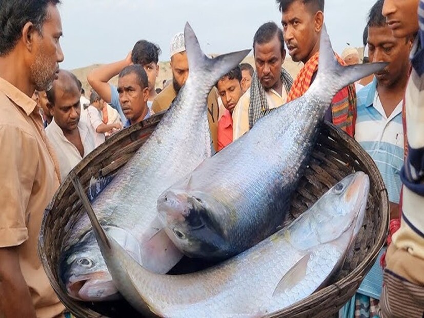 বাংলাদেশের ফরিদপুরে সে কী কাণ্ড! ফরিদপুরের সদরপুর উপজেলায় মাত্র ১০ টাকায় ইলিশ মাছ দেওয়ার ঘোষণা করেছিলেন রায়হান জামিল নামের এক ব্যক্তি। কিন্তু বিতরণের জন্য যে পরিমাণ মাছ তিনি এনেছিলেন, তার থেকে লোকসংখ্যা কয়েক গুণ বেশি হয়। সবাইকে মাছ দিতে না পেরে জনতার বিক্ষোভের মুখে কোনও রকমে এলাকা ছাড়েন তিনি।