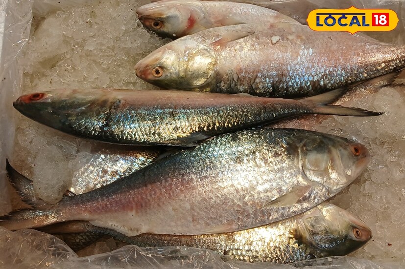 কিন্তু, ভারত ও বাংলাদেশের পারস্পরিক সম্পর্কে অবনতির কারণে চলতি বছর বাজারে পদ্মার ইলিশের আগমন কবে ঘটবে সেই বিষয়টিকে নিয়ে সন্দেহ ছিল। কলকাতার ইলিশপ্রেমীরা মায়ানমারের ইরাবতী এবং গুজরাটের নর্মদা থেকে আসা ইলিশ মাছ গ্রহণ করতে শুরু করেছিলেন।সাধারণভাবে এই ধরনের ইলিশ মাছগুলিকে আগে বাংলাদেশের পদ্মা বা কোলাঘাটের রূপনারায়ণ থেকে প্রাপ্ত জাতের ইলিশ মাছগুলির তুলনায় নিম্নমানের হিসাবে ধরা হত। 