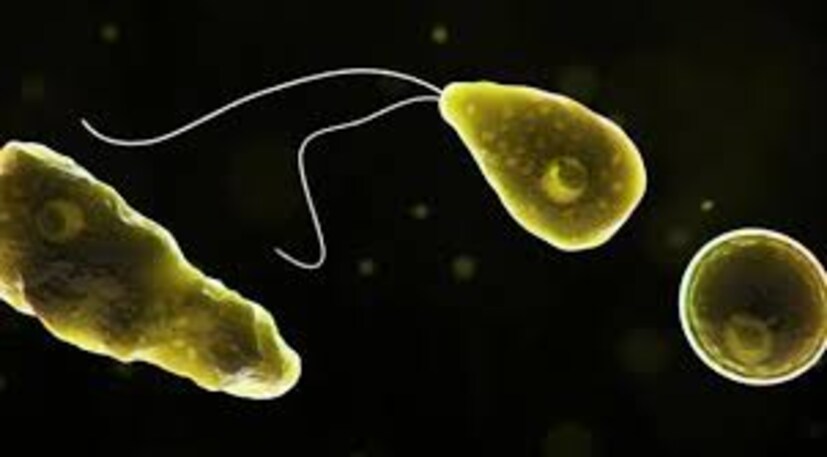  চিকিৎসকেরা জানাচ্ছেন মিল্টেফেসিন নামে এক ধরনের ওষুধ দিয়েই চিকিৎসা শুরু হয়েছে। আরও বেশ কয়েক ধরনের ওষুধ এবং ইঞ্জেকশনের মাধ্যমেও চিকিৎসা চলছে বলে জানা গিয়েছে।