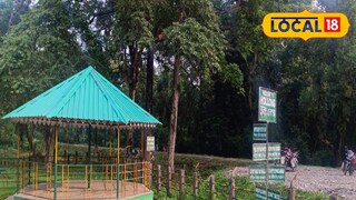 প্রতিকী ছবি।