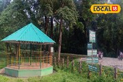 পর্যটকদের উপহার! একসঙ্গে সাফারি আর হাতিদের ঘর দেখা যাবে জলদাপাড়ায়, বুকিং অনলাইনে