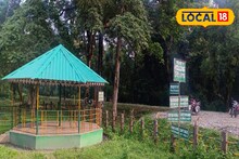 পর্যটকদের উপহার! একসঙ্গে সাফারি আর হাতিদের ঘর দেখা যাবে জলদাপাড়ায়, বুকিং অনলাইনে