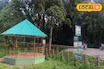 পর্যটকদের উপহার! একসঙ্গে সাফারি আর হাতিদের ঘর দেখা যাবে জলদাপাড়ায়, বুকিং অনলাইনে