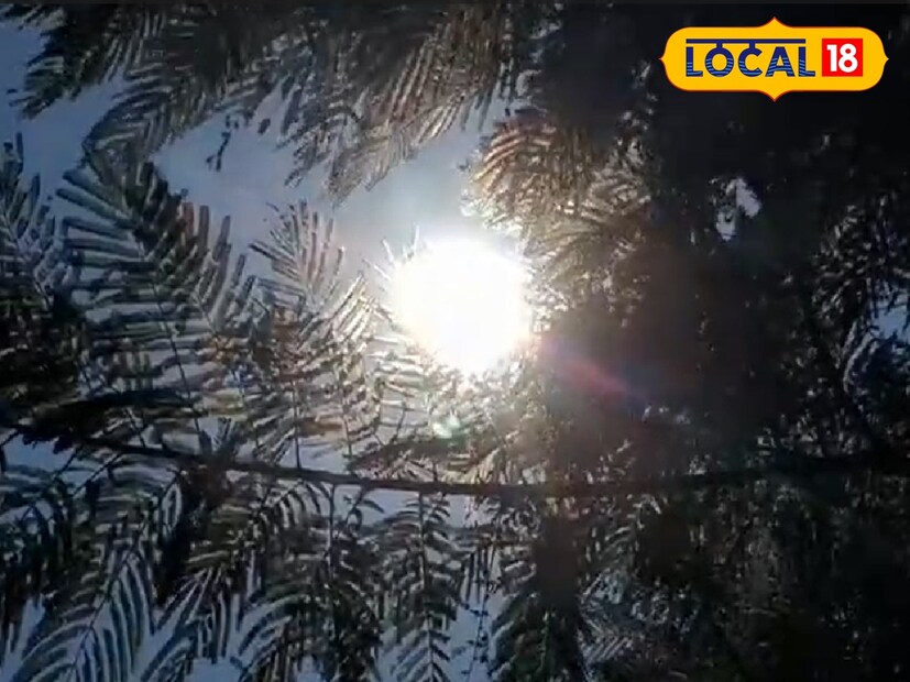 আবহাওয়া বিশেষজ্ঞরা বলছেন, একানাগাড়ে বৃষ্টিপাত চলছে। ফলে বাতাসে জলীয় বাষ্পের পরিমাণ অনেক বেশি রয়েছে। সেই আদ্রতাজনিত অস্বস্তির সঙ্গে যখনই তারমাত্রার পারদ একটু বাড়ছে, তখন এমন পরিস্থিতির সৃষ্টি হচ্ছে। ফলে ভোগান্তির মুখে সাধারণ মানুষ। (ছবি ও তথ্য -শান্তনু কর)