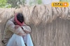 ৪ হাজার টাকার পাট বেড়ে হয়েছে ৭ হাজার! তবুও মুখে হাসি নেই চাষিদের! জানুন আসল ভিলেন কে...