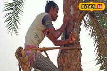 খেজুর রসের টানে দৌড় শুরু, পুজোর আগে শীতের গন্ধ নিয়ে হাজির শিউলিরা