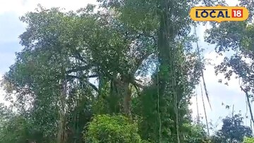 মালদহের