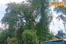 প্রাচীন বটগাছের নিচে ৬ দশকের পুরনো 'মানিকের' স্মৃতি! এবার মালদহে নয়া পর্যটন কেন্দ্র!