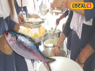 মিড ডে মিলে ইলিশ