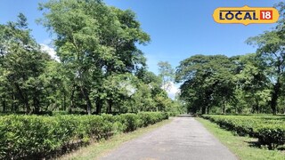 জলপাইগুড়ির আবহাওয়ার আপডেট