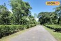 চড়া রোদে নাজেহাল, এরই মাঝে...! কী হবে জলপাইগুড়িতে? আবহাওয়ার পূর্বাভাস