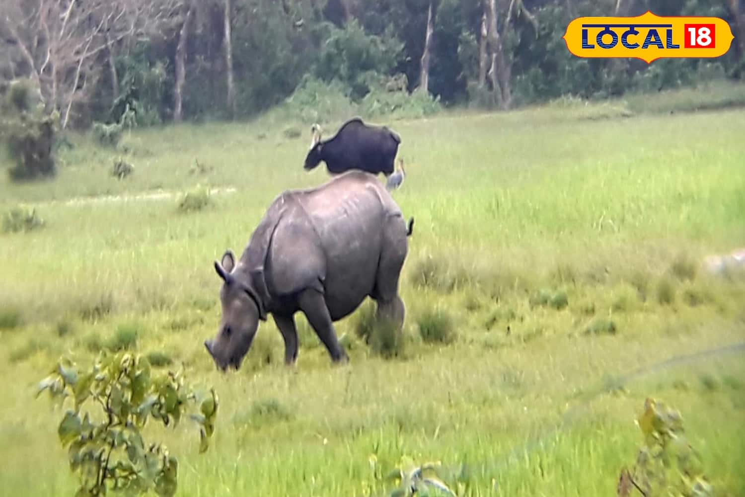 জলপাইগুড়ির আকাশ পরিষ্কার থাকবে বলেই জানাচ্ছে আবহাওয়া দফতর, অন্যদিকে ডুয়ার্সের আকাশ ও পরিষ্কার থাকবে। 