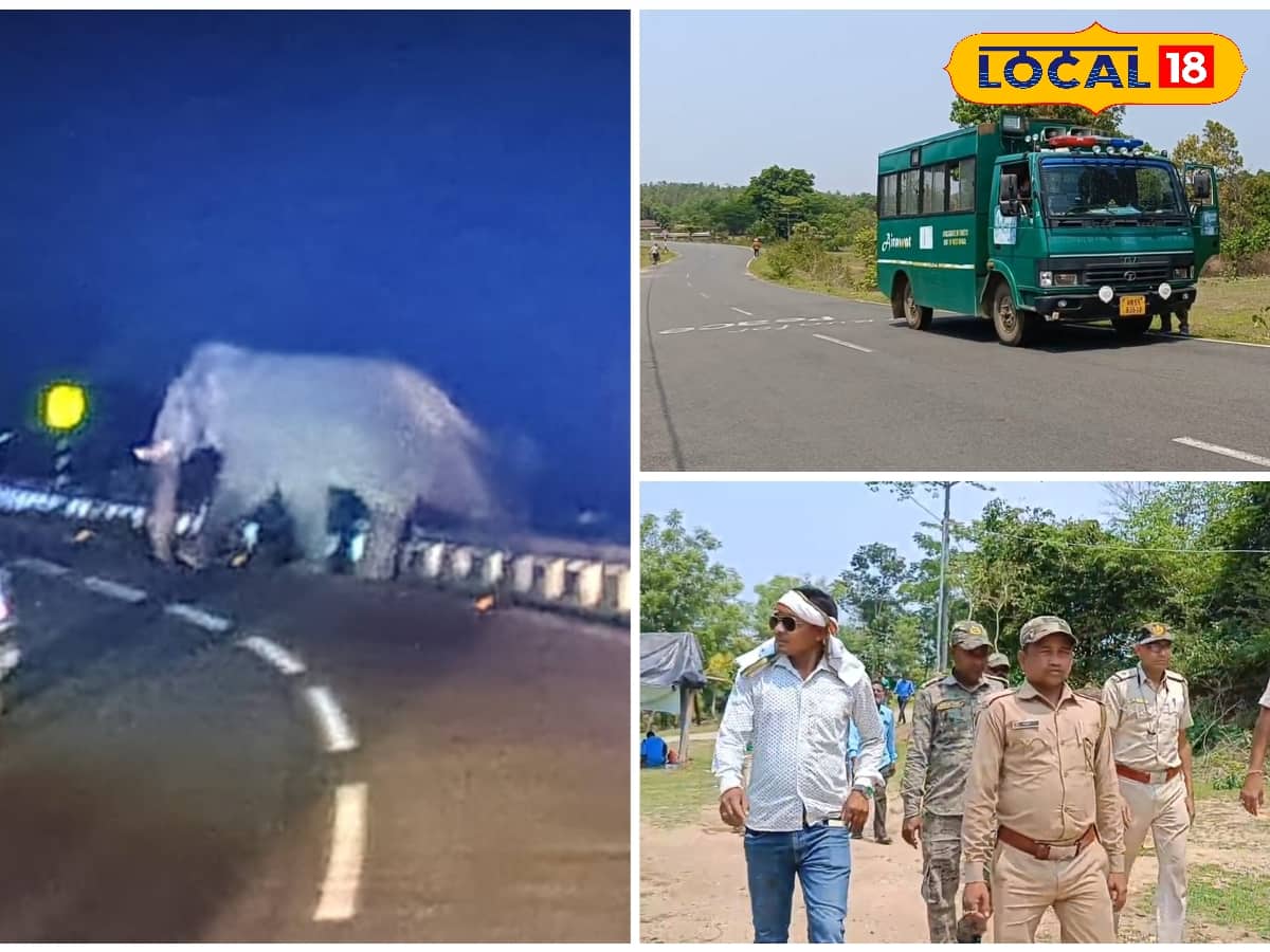 পুরুলিয়ায় হাতির হানা