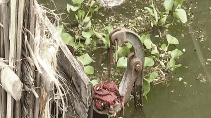 ফাইল ছবি ফাইল ছবি