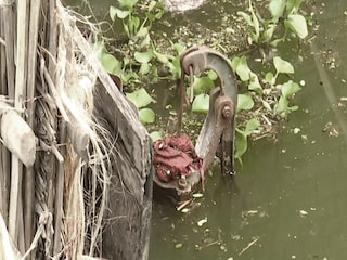 ফাইল ছবি ফাইল ছবি