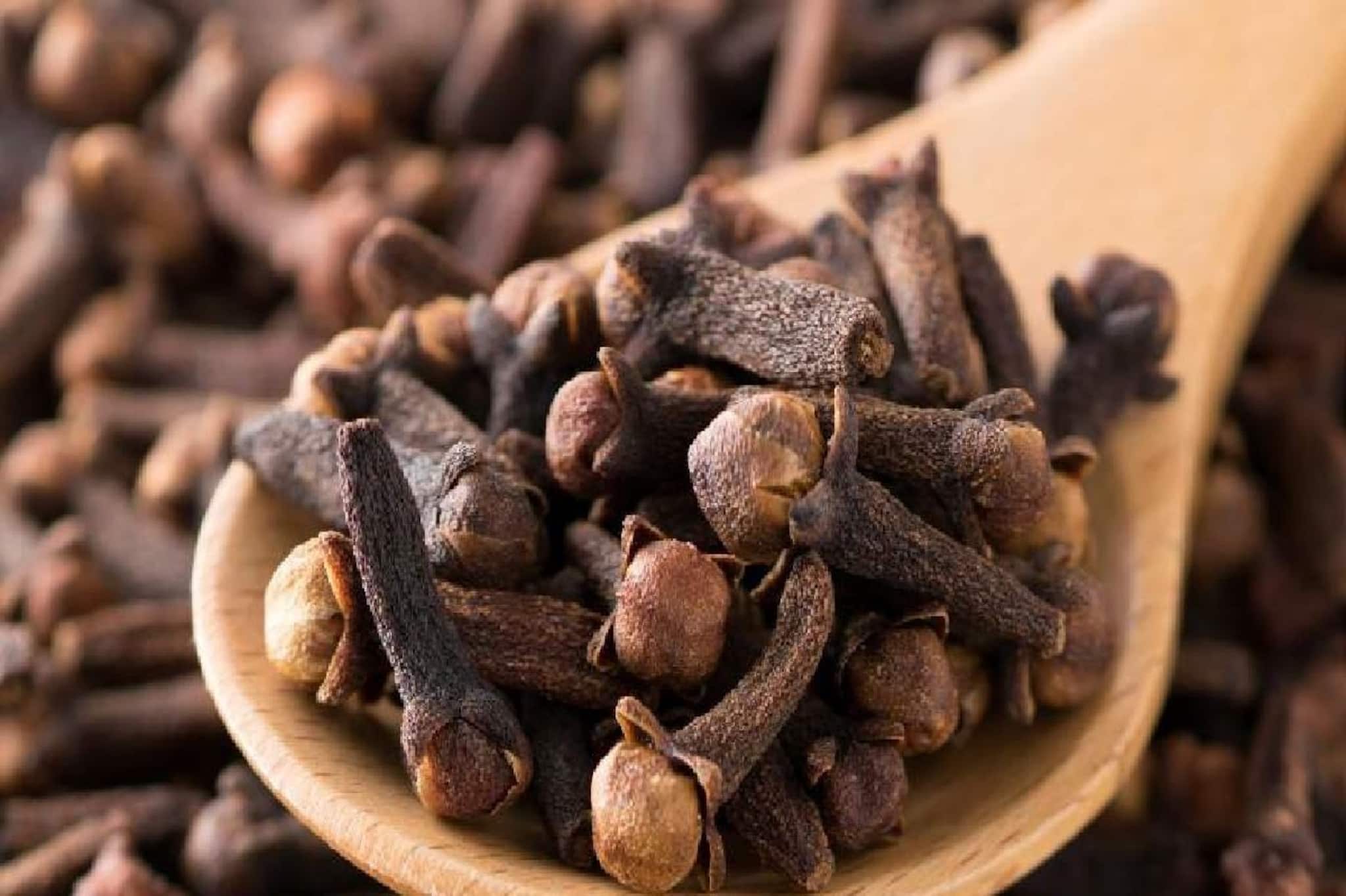 বিরিয়ানি থেকে আর বাদ দিতে হবে না লবঙ্গ দারচিনি! এর উপকারিতা একবার জানলেই কেল্লা ফতে