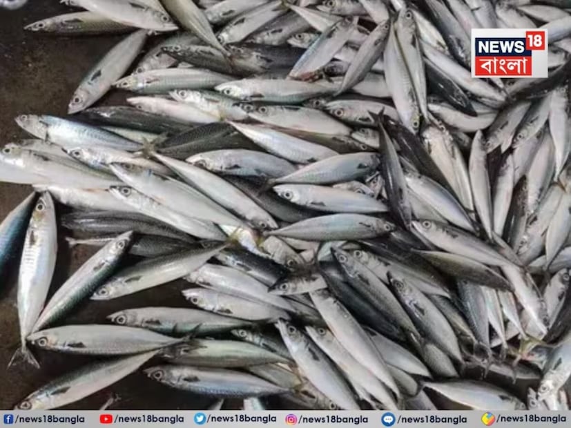 কিন্তু জানলে অবাক হবেন যে রুই কাতলা মায় ইলিশকেও দশ গোল দিতে পারে পুষ্টি ও স্বাদে এমন একটি মাছ এখন আছে আপনার হাতের নাগালের মধ্যেই। জিভে জল আনা স্বাদের সস্তার এই মাছের সামনে কোথাও দাঁড়াতেই পারবে না পুটি থেকে পার্শে।